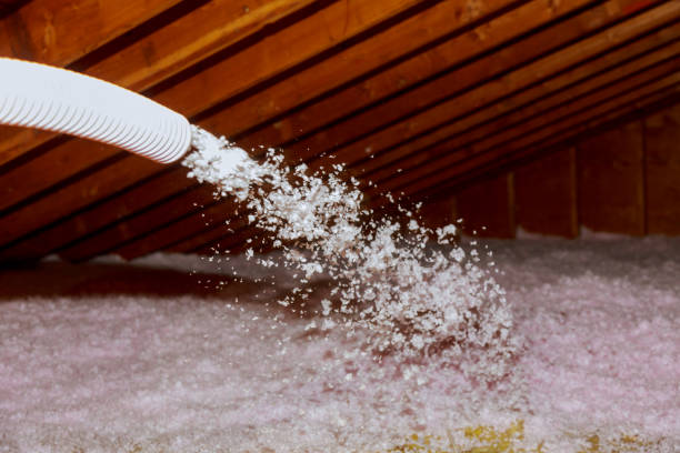 Best Cellulose Insulation in Woods Cross, UT