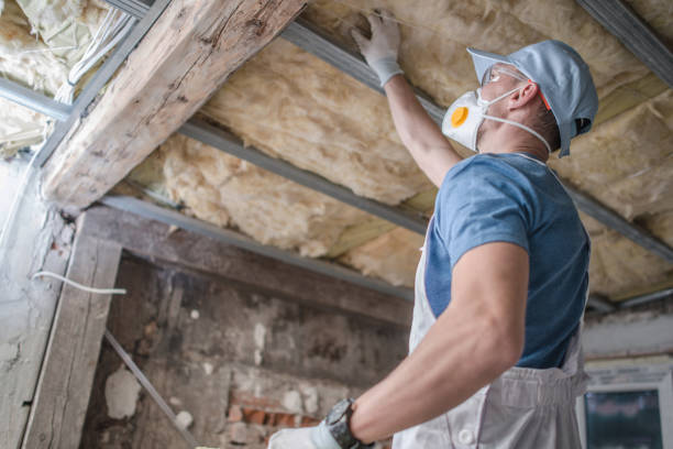 Best Insulation Maintenance and Repair in Woods Cross, UT